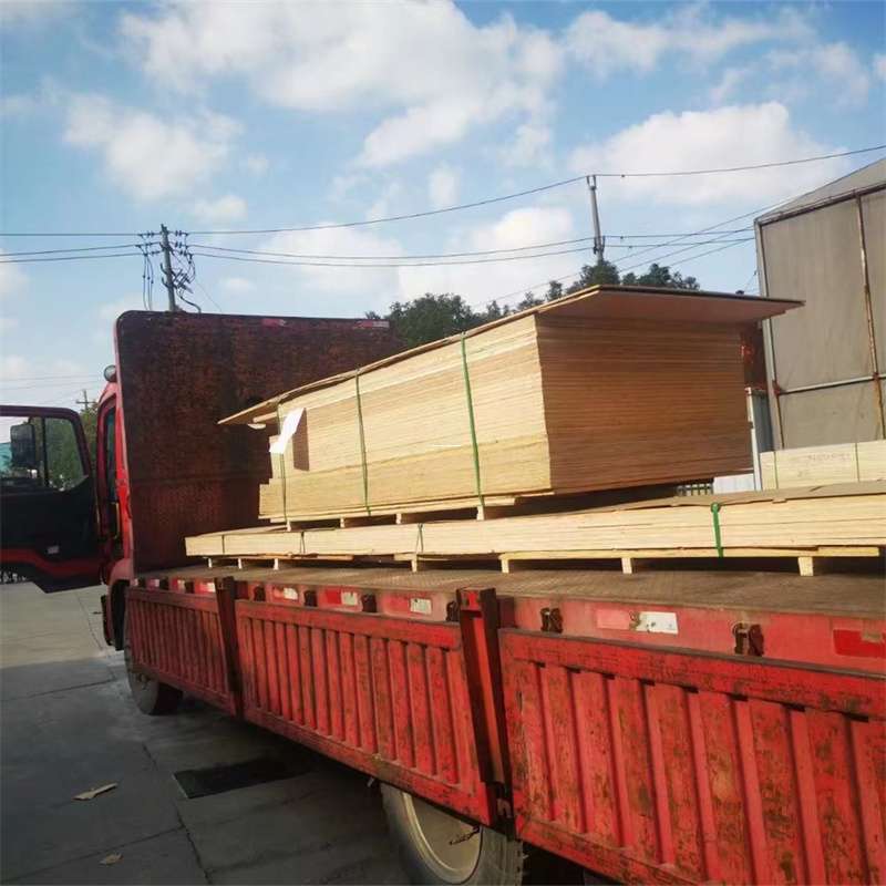 肇庆到河北物流公司——一站式服务，让货运更便捷